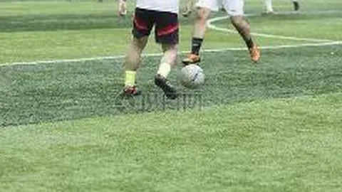 球盟会体育登录入口 资讯 085239 i5b