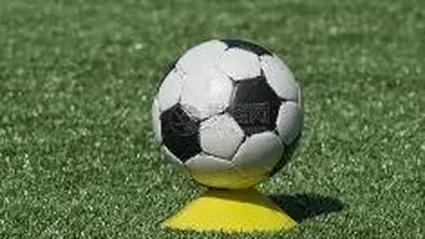 球盟会体育登录入口 产品 083719 9jn